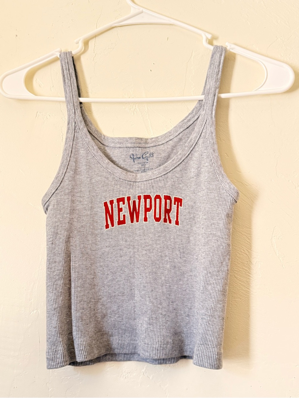 Brandy Melville Gray Tank Top with Red Newport Logo
